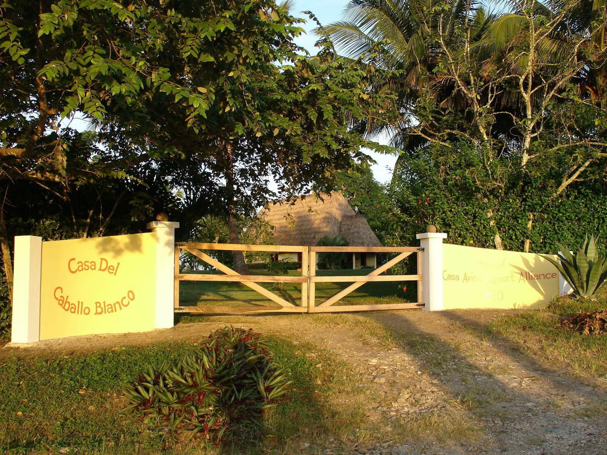 Casa Del Caballo Blanco San Ignacio Exterior foto